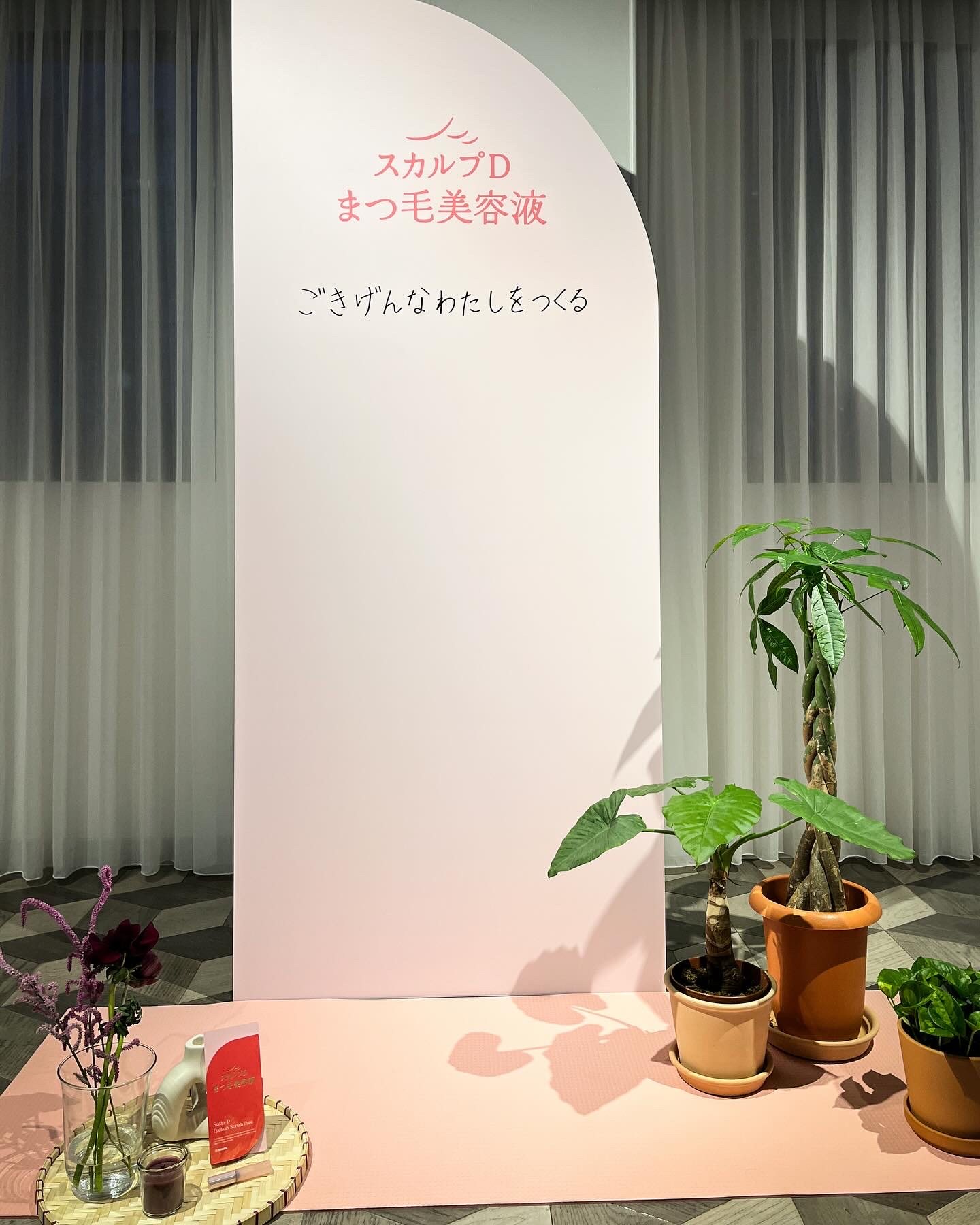 観葉植物と花を飾った一角